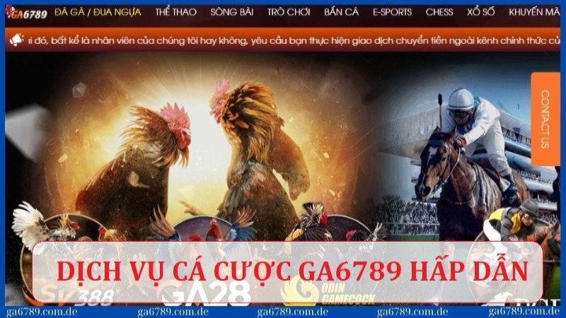 Giới thiệu 2 Tham gia dịch vụ cá cược tại Ga6789 với đa dạng loại hình hấp dẫn